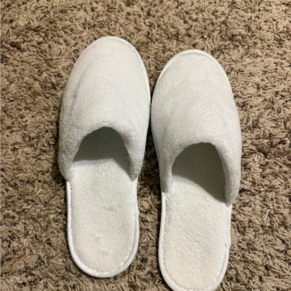 Slippers -well worn